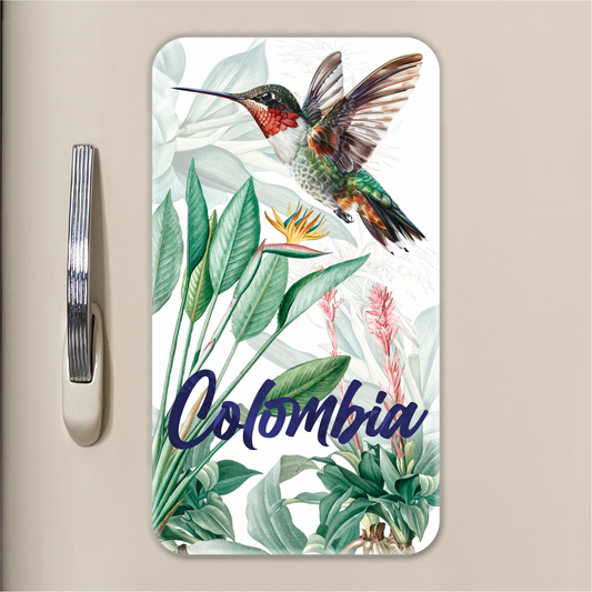 Imán: Colibrí